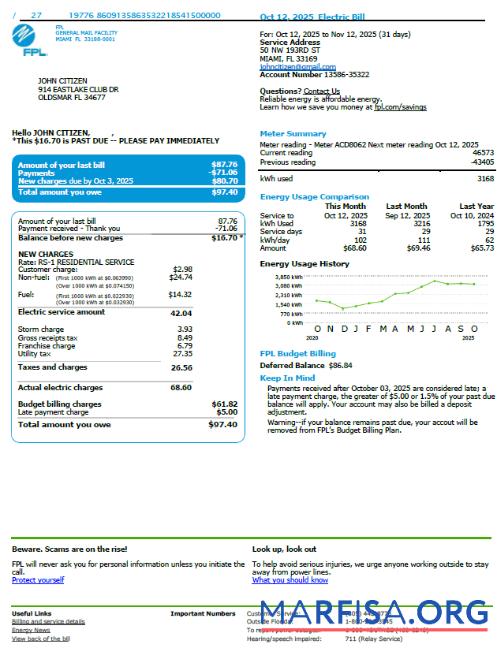 Printable USA FPL utility bill template in Word and PDF formats, version 3